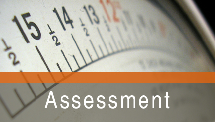 Assessment for Probation Supervision